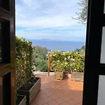 Orange Moderno Tra Gli Ulivi Di 別荘
