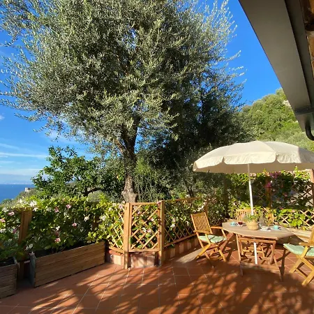 Orange Moderno Tra Gli Ulivi Di Holiday home Sorrento