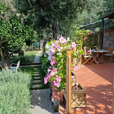 Holiday home Orange Moderno Tra Gli Ulivi Di
