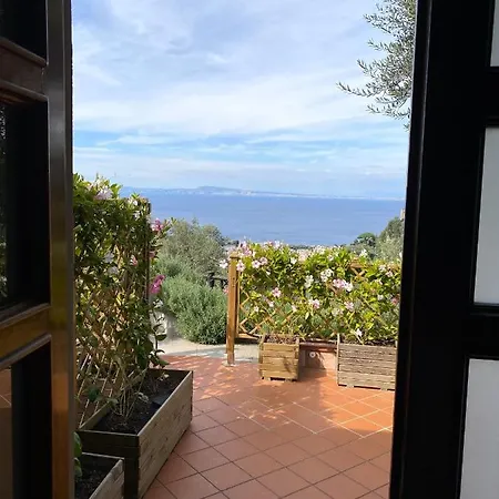 Orange Moderno Tra Gli Ulivi Di בית נופש