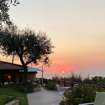 Orange Moderno Tra Gli Ulivi Di *