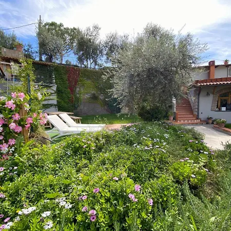 Holiday home Orange Moderno Tra Gli Ulivi Di *